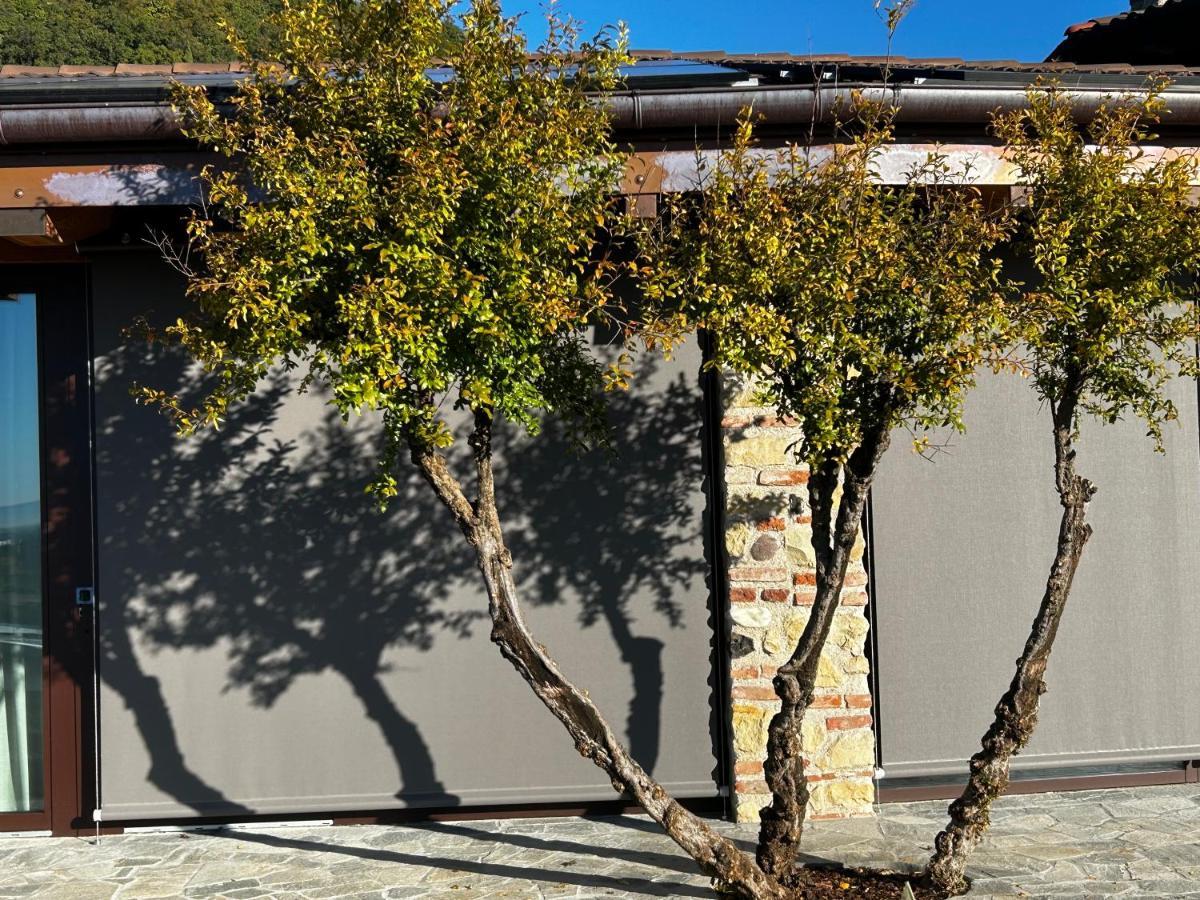 Nuovo B&B Colline San Benedetto 马洛斯蒂卡 外观 照片