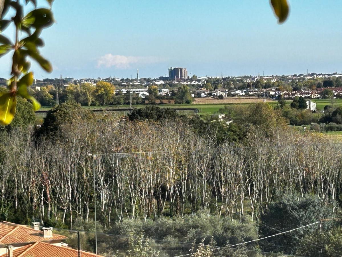 Nuovo B&B Colline San Benedetto 马洛斯蒂卡 外观 照片