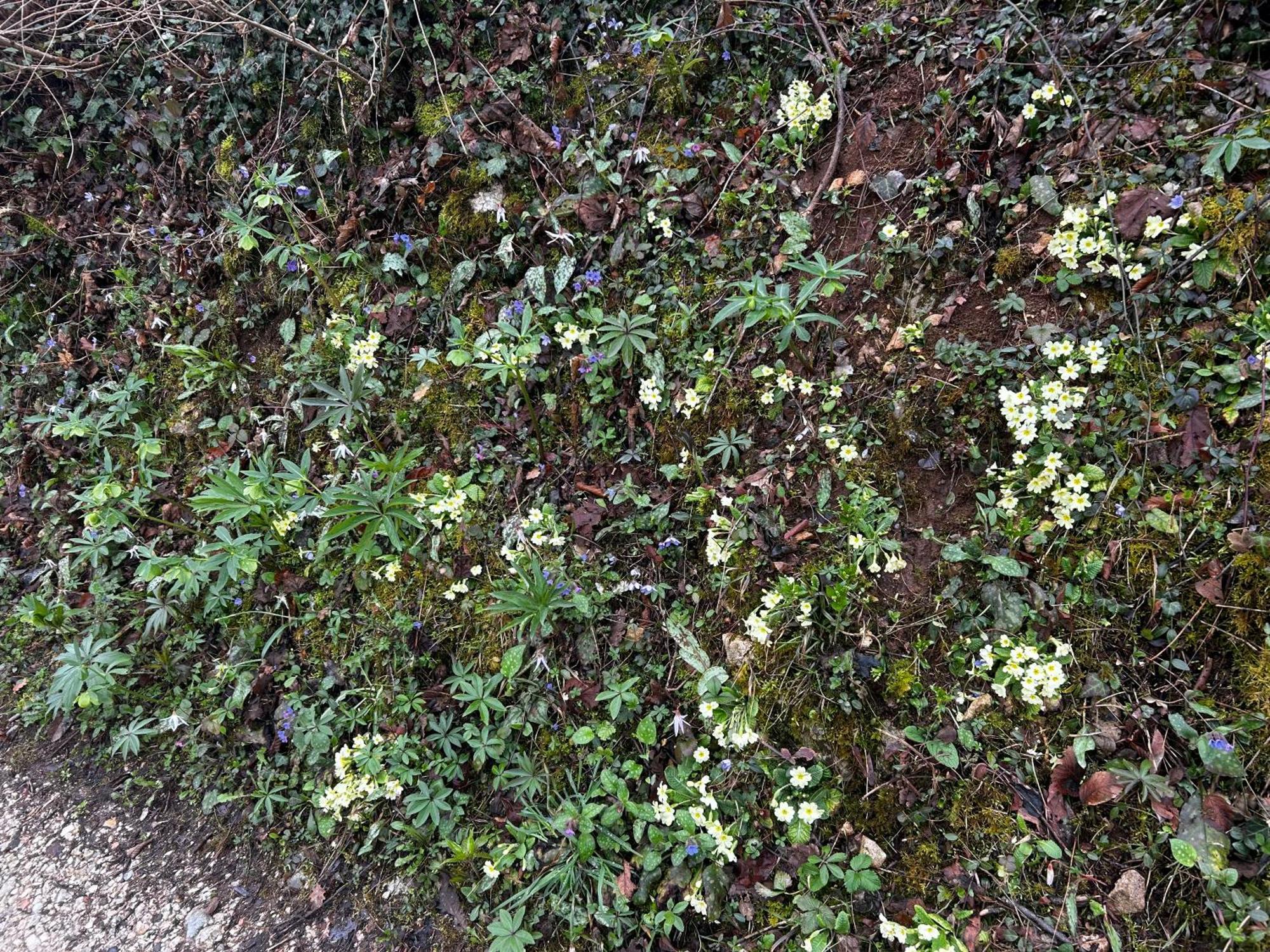 Nuovo B&B Colline San Benedetto 马洛斯蒂卡 外观 照片