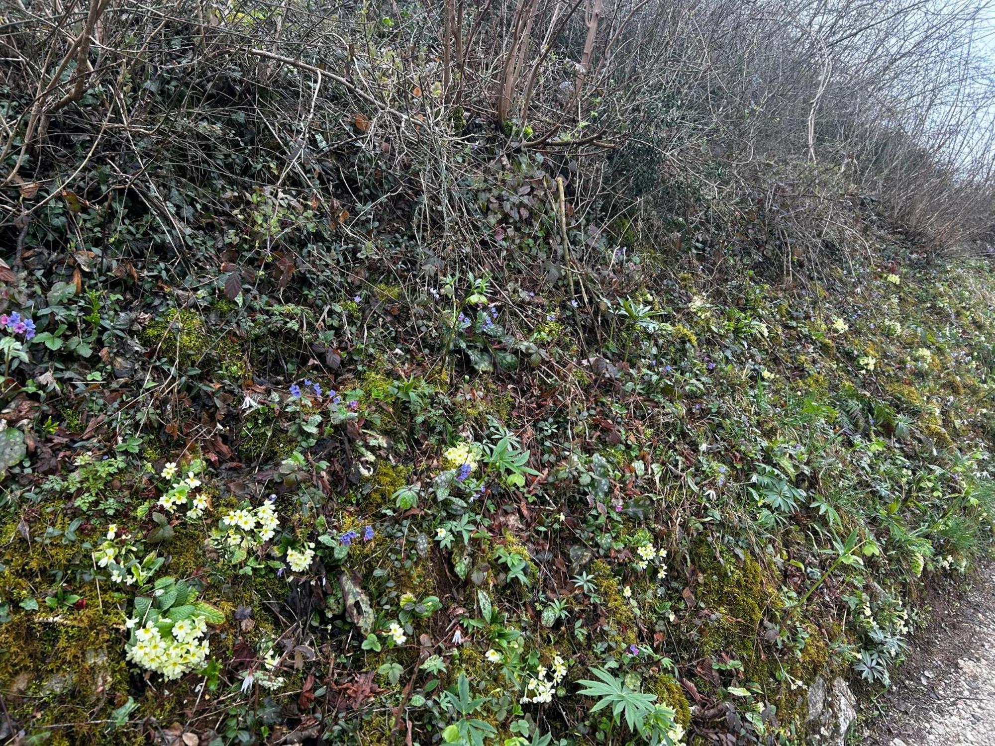 Nuovo B&B Colline San Benedetto 马洛斯蒂卡 外观 照片