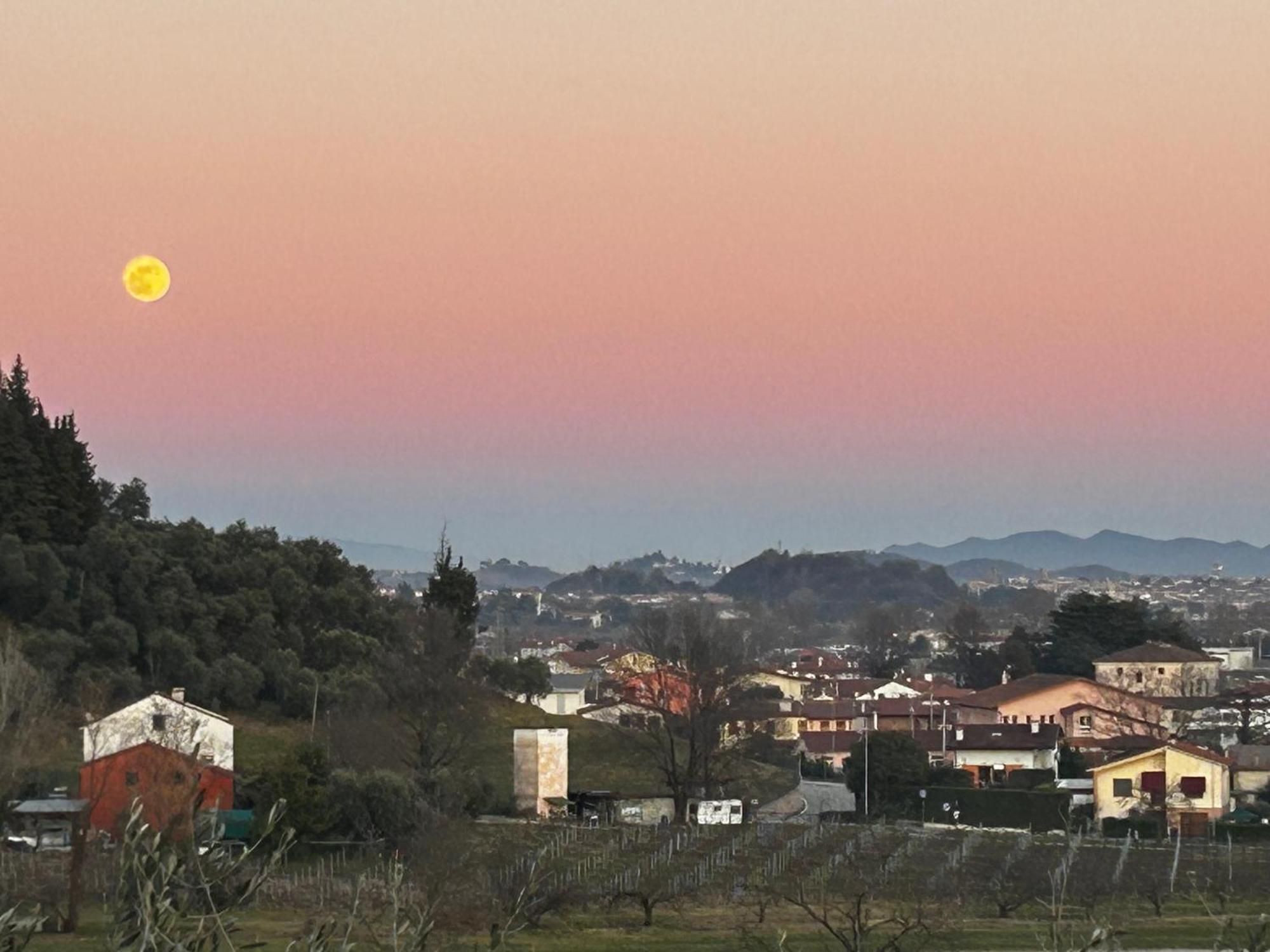 Nuovo B&B Colline San Benedetto 马洛斯蒂卡 外观 照片